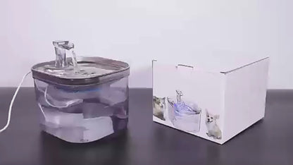 Fontaine à eau automatique en acier inoxydable pour chat